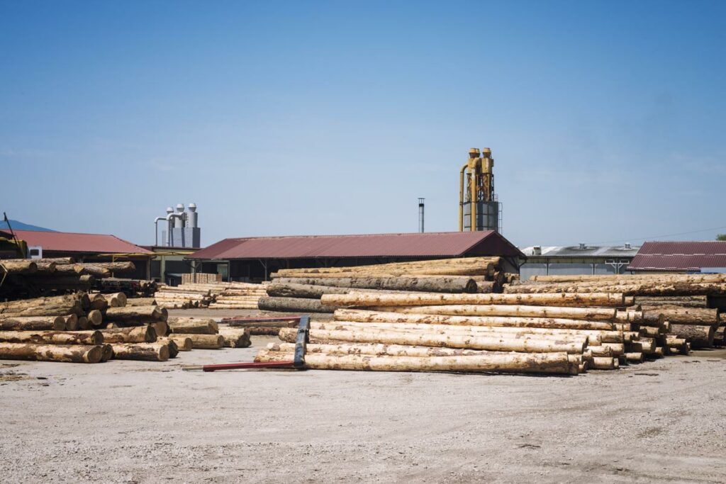 suwood-esportazione-legname